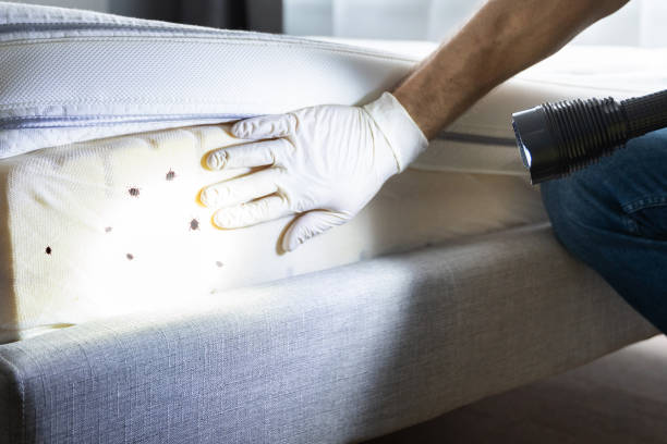 Best Pest Inspection Near Me  in Lapel, IN