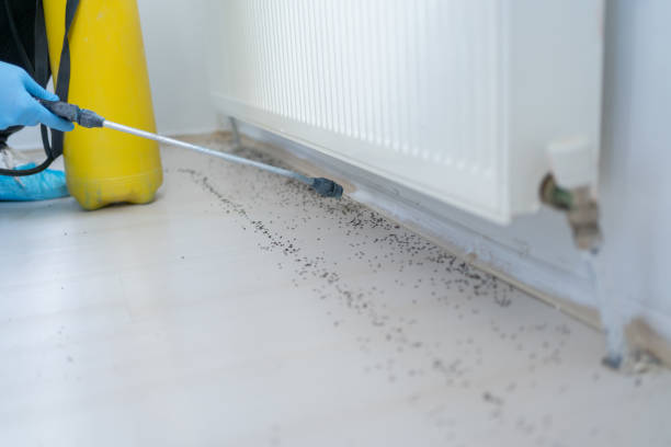 Best Flea Control Services  in Lapel, IN
