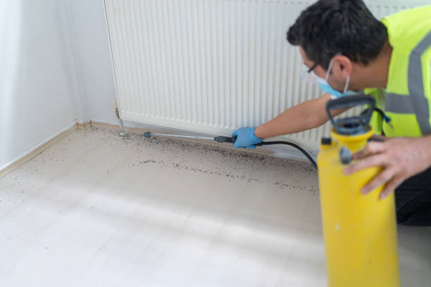Best Local Pest Control Services  in Lapel, IN